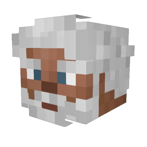 EpicIce Minecraft avatar head, 3D render
