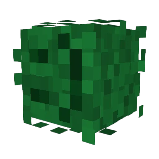 EpicLeoFace Minecraft avatar head, 3D render
