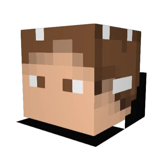 EpicMaster_5 Minecraft avatar head, 3D render