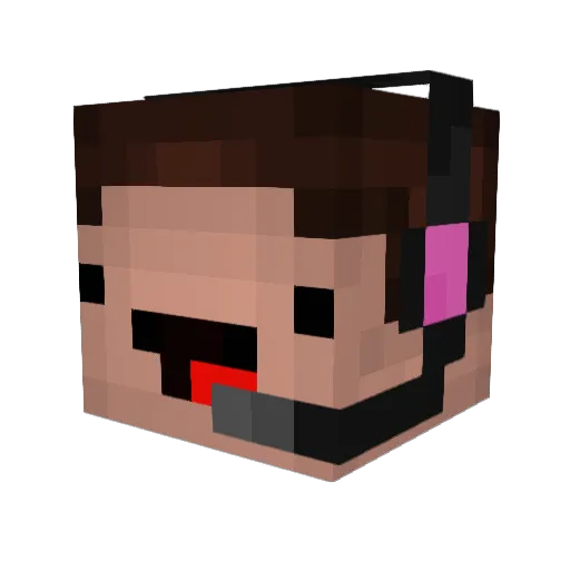 EpicMiner1429 Minecraft avatar head, 3D render