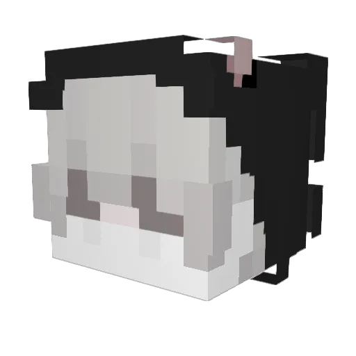 EpicMosquito19 Minecraft avatar head, 3D render