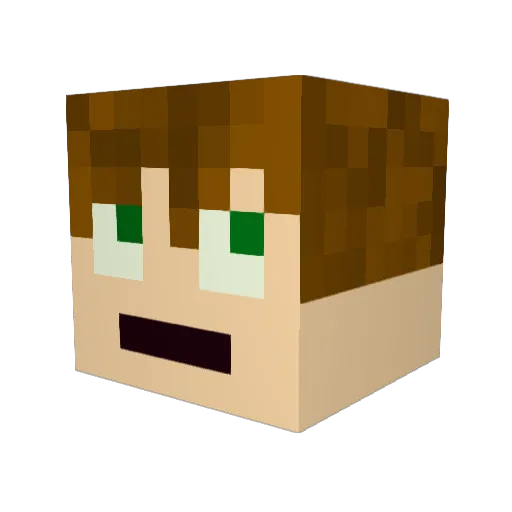 EpicNinja1999 Minecraft avatar head, 3D render
