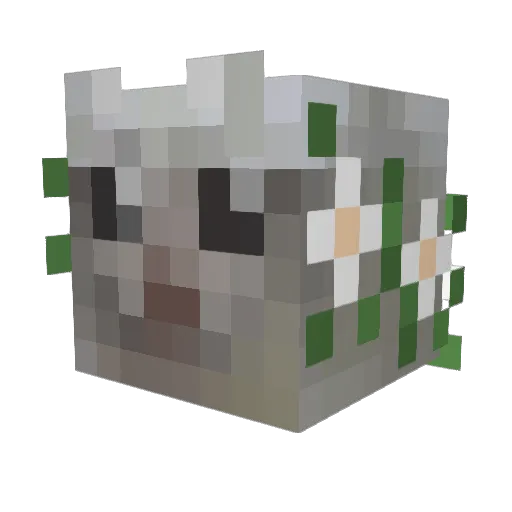 EpicRobinQuest Minecraft avatar head, 3D render