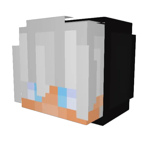 EpicRydes Minecraft avatar head, 3D render