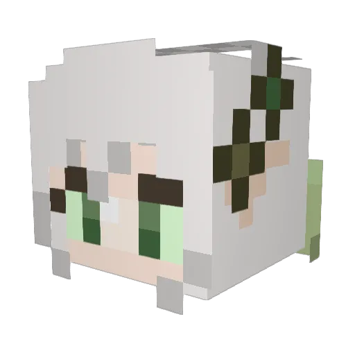 EpicSchnee Minecraft avatar head, 3D render