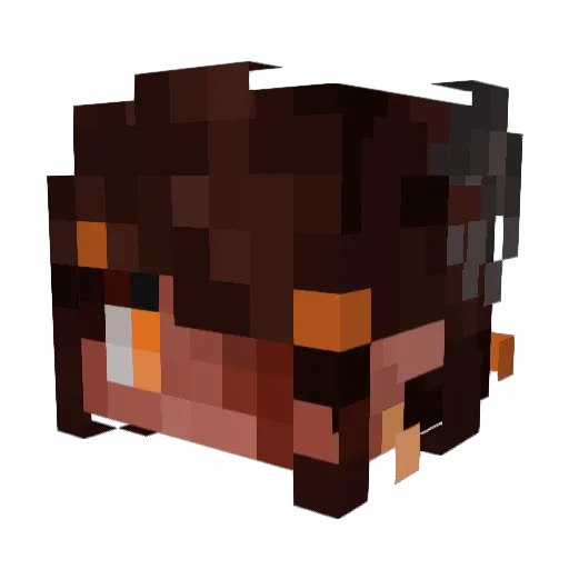 EpicShroomie Minecraft avatar head, 3D render