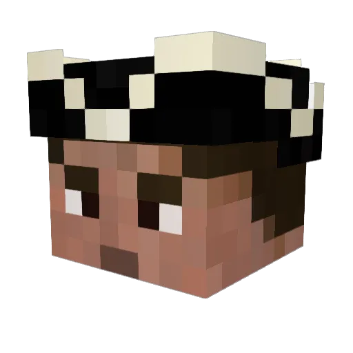 EpicTapir Minecraft avatar head, 3D render