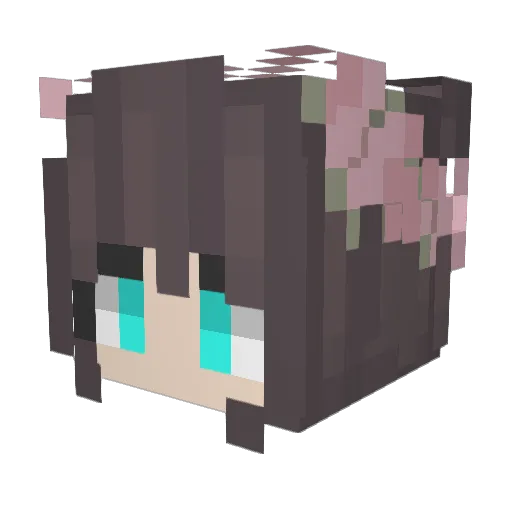 EpicVanilka Minecraft avatar head, 3D render