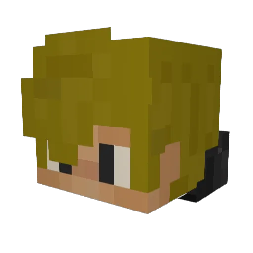 EpicWaffleDOG Minecraft avatar head, 3D render