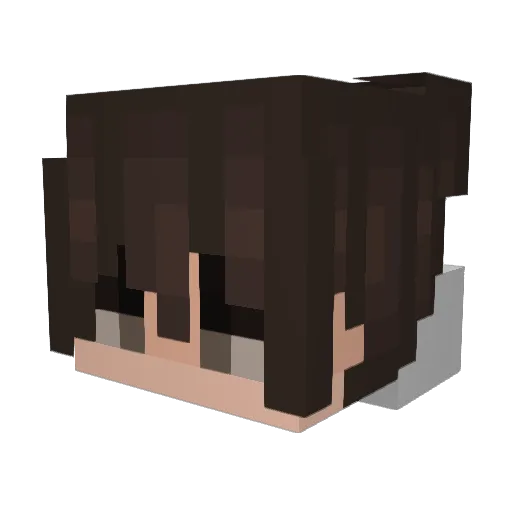 EpicWolf145 Minecraft avatar head, 3D render