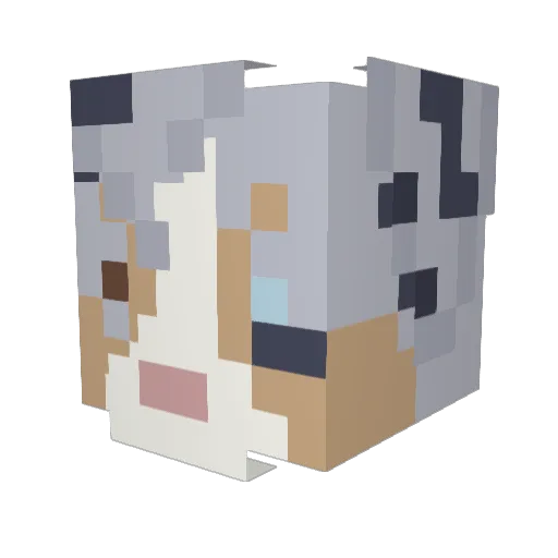 Epic_Athena16 Minecraft avatar head, 3D render