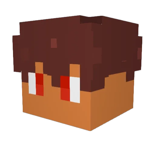 Epic_Eagle Minecraft avatar head, 3D render