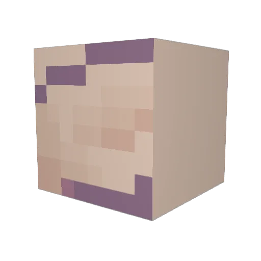 Epic_Gamer42690 Minecraft avatar head, 3D render