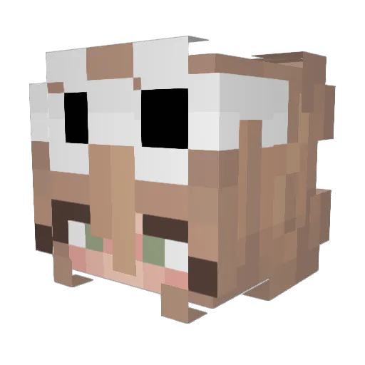 Epic_Gamer_I Minecraft avatar head, 3D render