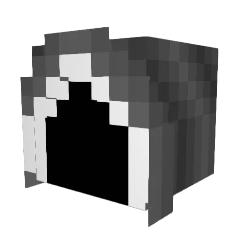 Epic_Troller1020 Minecraft avatar head, 3D render
