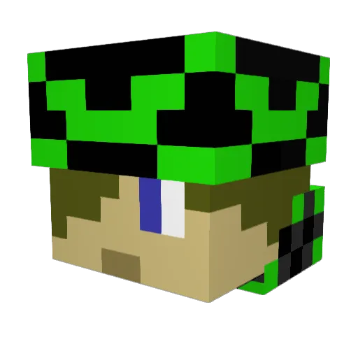 Epicaden365 Minecraft avatar head, 3D render