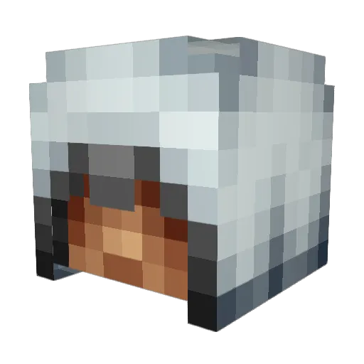 Epicalex1001 Minecraft avatar head, 3D render