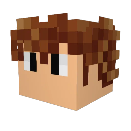 Epicarp779 Minecraft avatar head, 3D render
