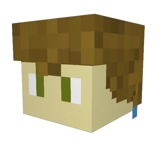 Epicbug01 Minecraft avatar head, 3D render