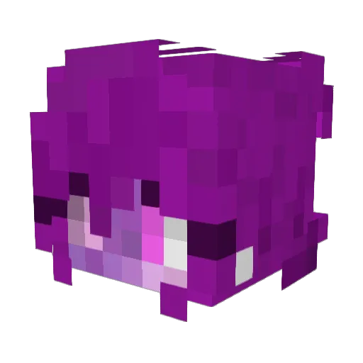 Epicc_ Minecraft avatar head, 3D render