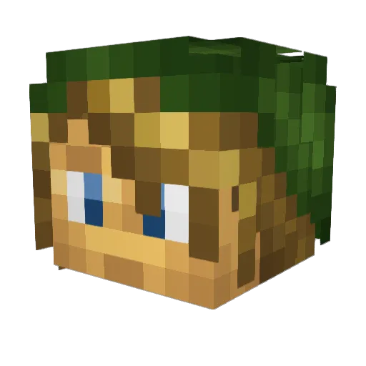 Epicdiamond41 Minecraft avatar head, 3D render