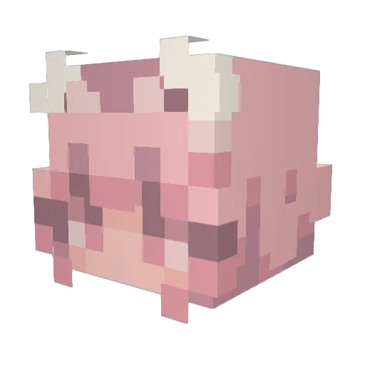 Epicfurret Minecraft avatar head, 3D render