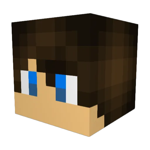 Epicgamer761 Minecraft avatar head, 3D render