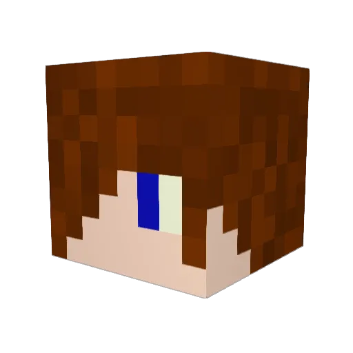 Epicman2004 Minecraft avatar head, 3D render
