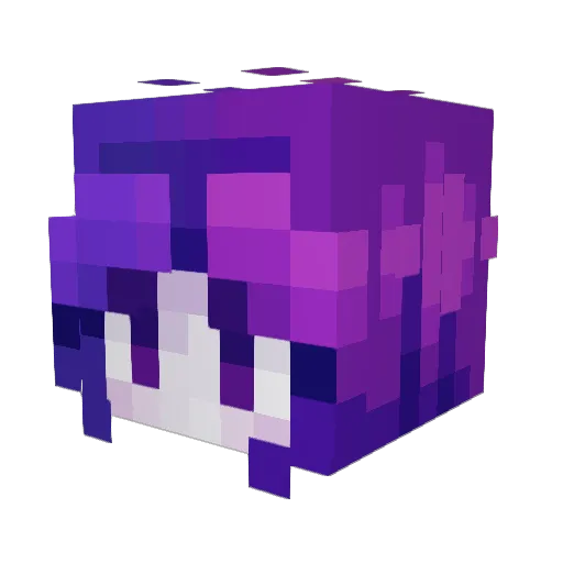 Epicnitrox2 Minecraft avatar head, 3D render