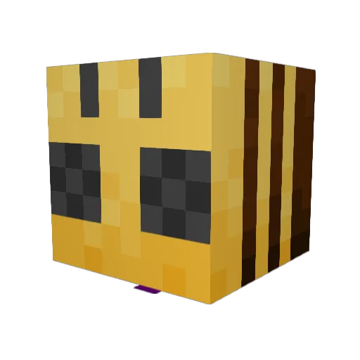 Epicon10 Minecraft avatar head, 3D render