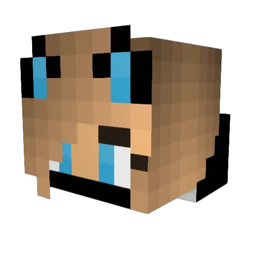 Epicrangerx8 Minecraft avatar head, 3D render