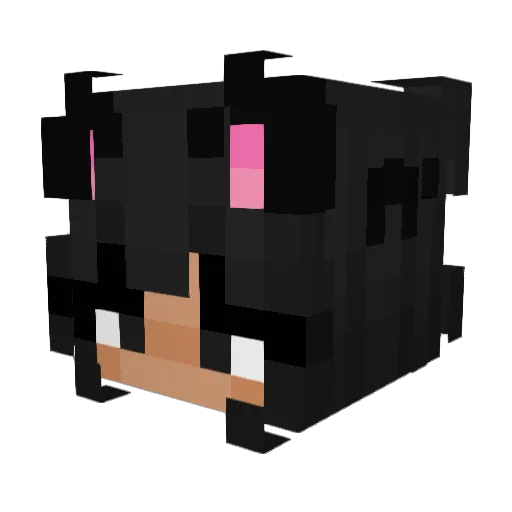 EpicsWoni Minecraft avatar head, 3D render