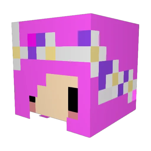 Epicsauce5 Minecraft avatar head, 3D render
