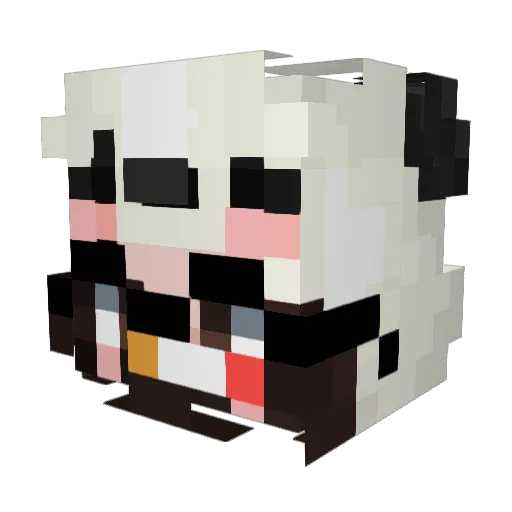 Epicstunt114 Minecraft avatar head, 3D render