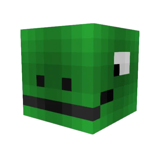Epicturtl3z Minecraft avatar head, 3D render