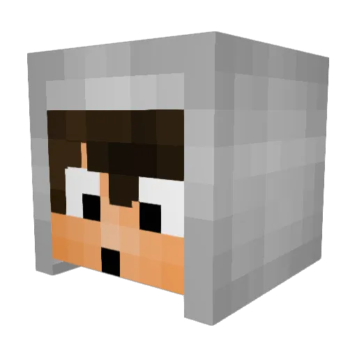 EpikWhale Minecraft avatar head, 3D render