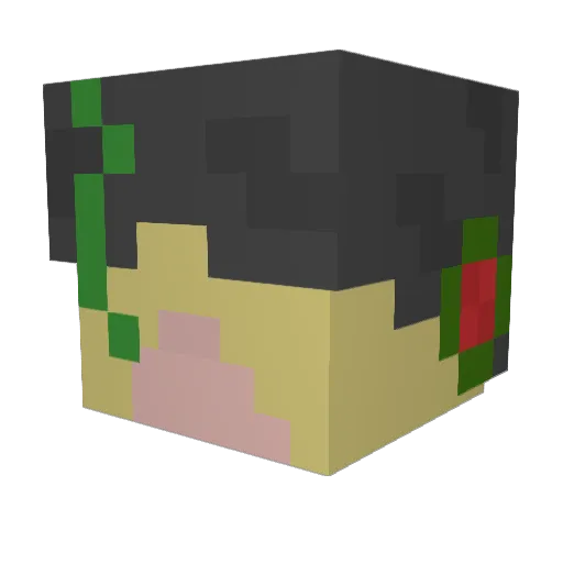 Epinefrinas Minecraft avatar head, 3D render