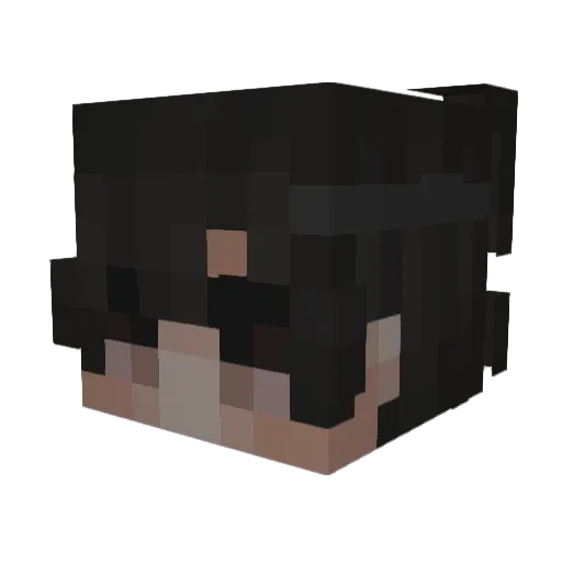 Episodio Minecraft avatar head, 3D render