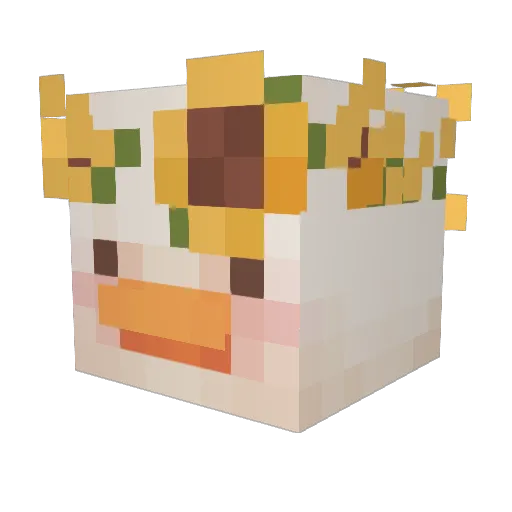 Epke Minecraft avatar head, 3D render
