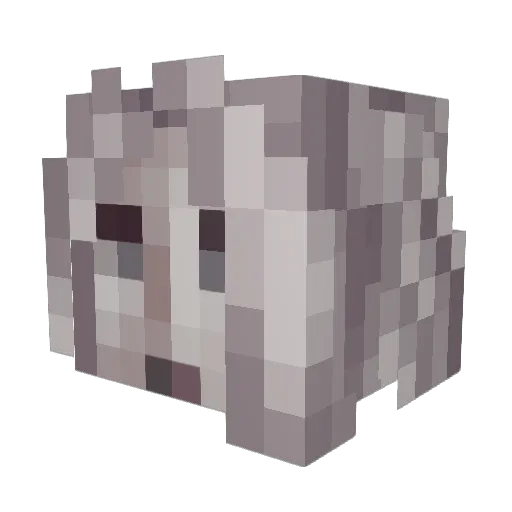 Epleiades Minecraft avatar head, 3D render