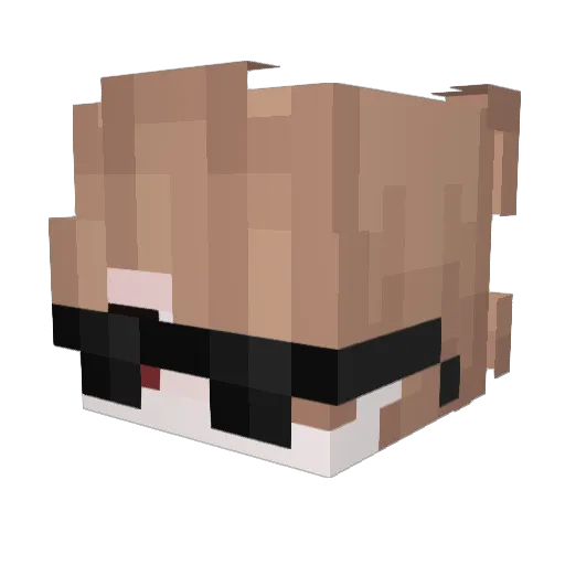Epo__x Minecraft avatar head, 3D render