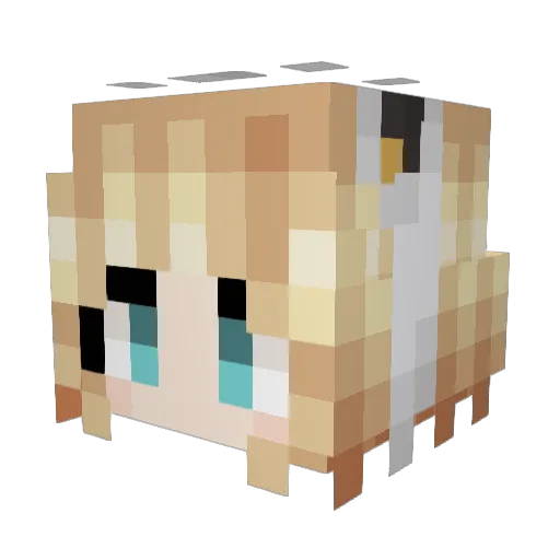 EpokEpok Minecraft avatar head, 3D render