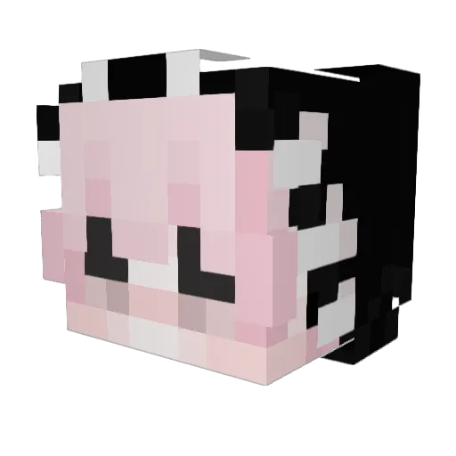 EpsilonRQ Minecraft avatar head, 3D render