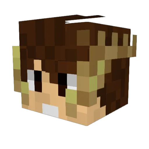 EpsilonUS Minecraft avatar head, 3D render