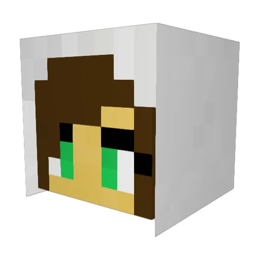 Epudge Minecraft avatar head, 3D render