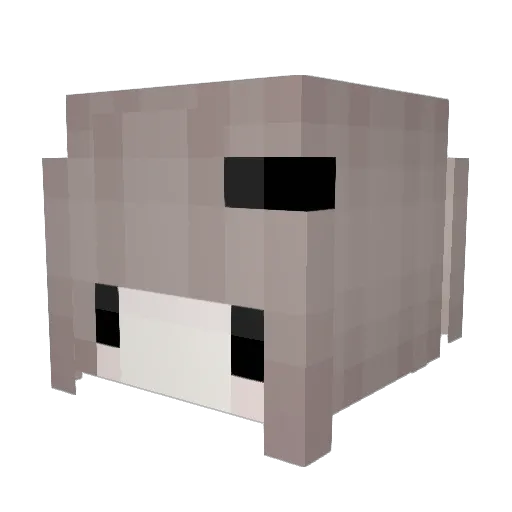 Eqoa Minecraft avatar head, 3D render