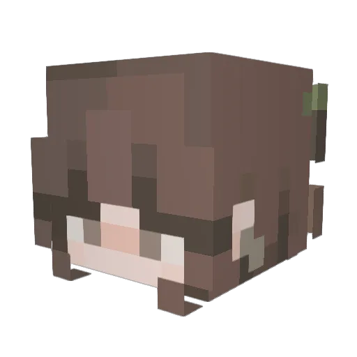 Equach Minecraft avatar head, 3D render