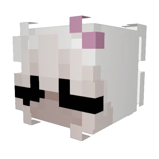 Equal0110 Minecraft avatar head, 3D render