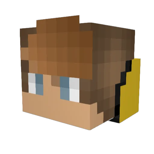 Equality1102 Minecraft avatar head, 3D render