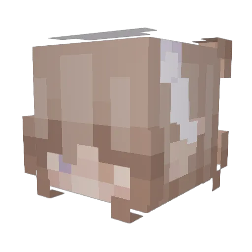 Equinify Minecraft avatar head, 3D render